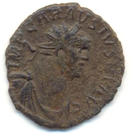 Carausius