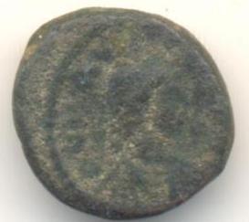 Trying-To-Identify-Nummus