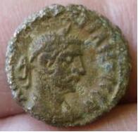 Domitiano-Fake-Or-Real?