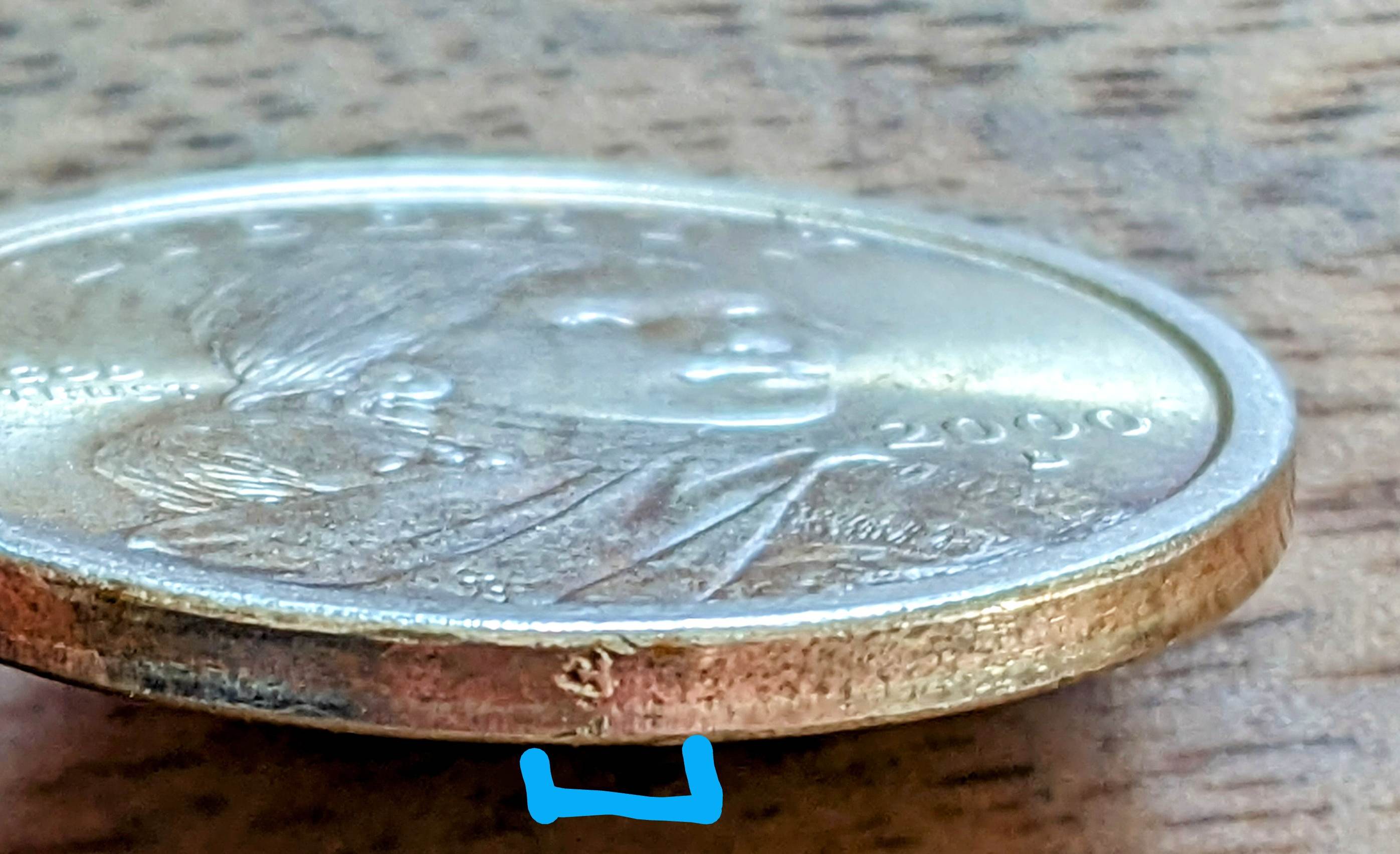 Sacagawea-2000-D-Error?