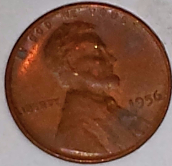 How-Do-I-Clean-And-Store-Coins?
