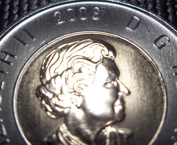 2008-Bear-Toonie-Errors