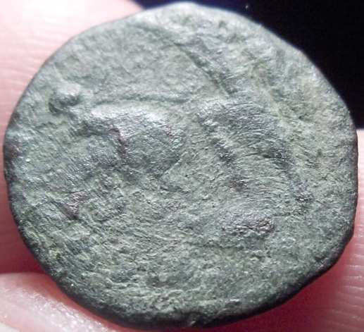 4-New-Romans