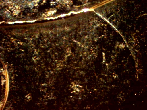 2010-Pedestal-Loonie-New-Minor-Die-Variety?