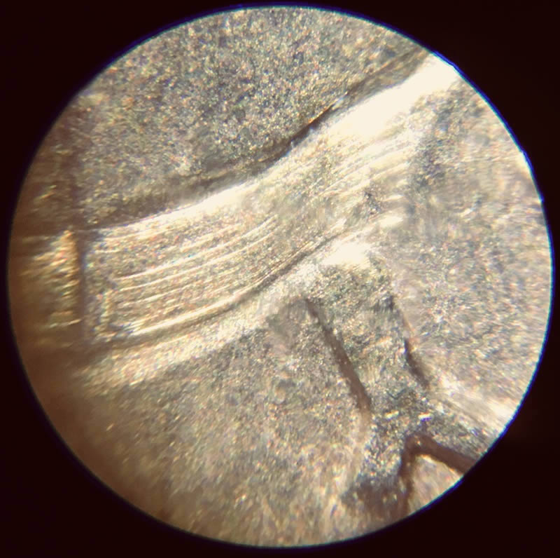 Newbie-Coin-Collector!!-1999-Penny-Error?