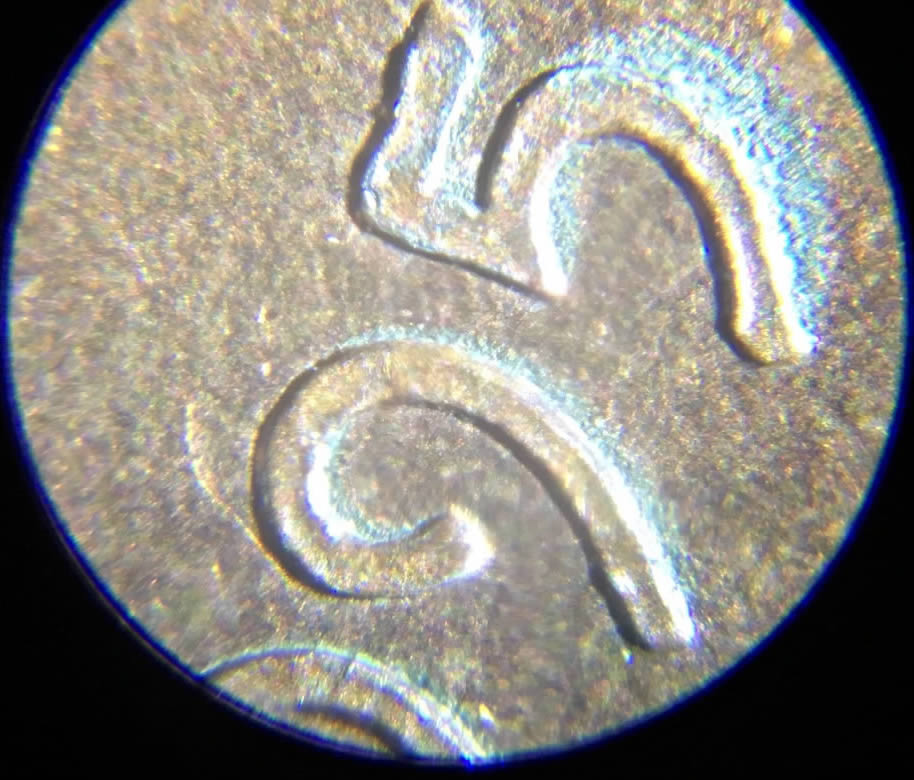 1995-D-LMC---Is-This-An-Example-Of-Double-Die?