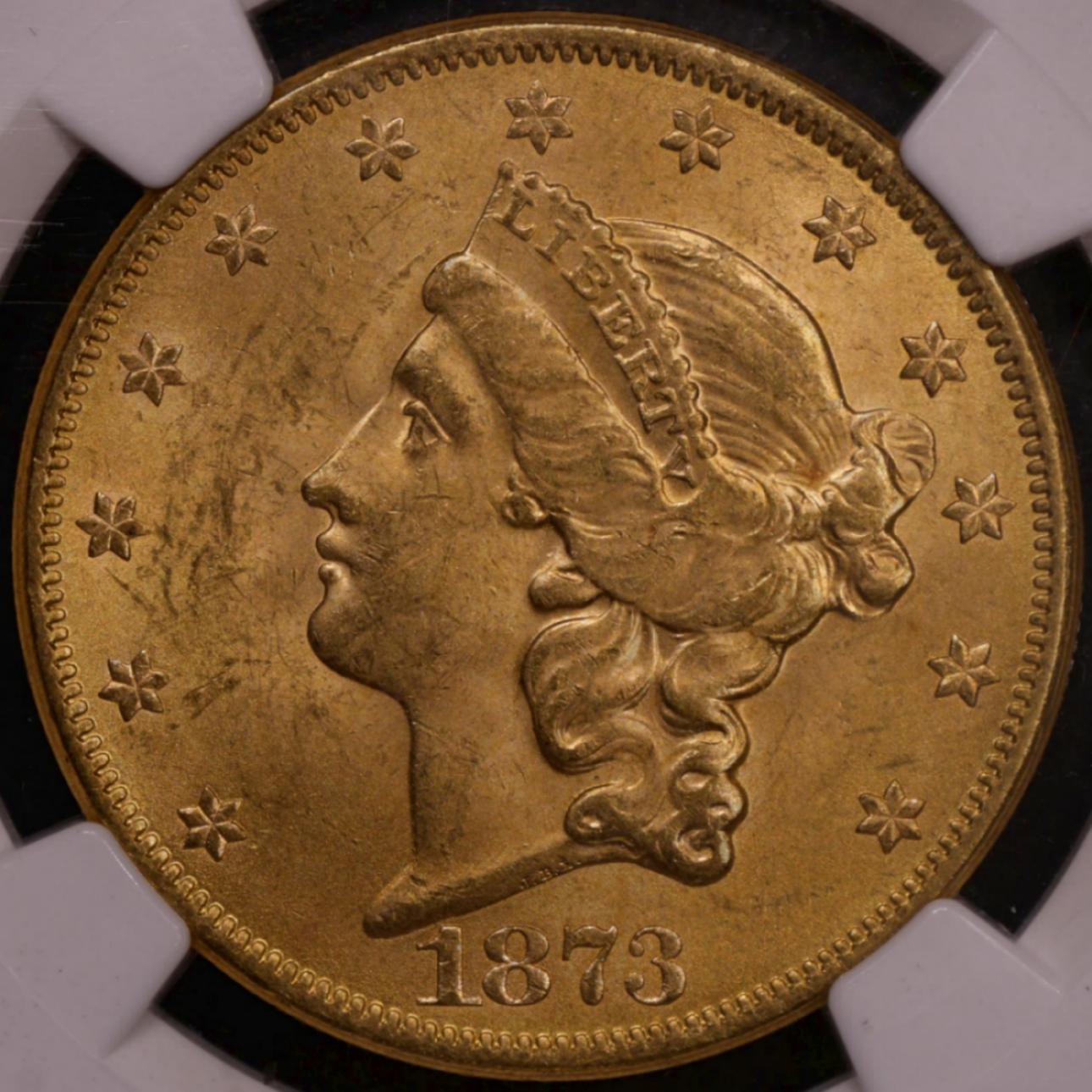 You-Vs.-NGC---1873-$20-Double-Eagle