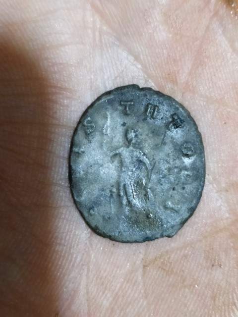 Claudius-I-Need-Help-For-The-Reverse.
