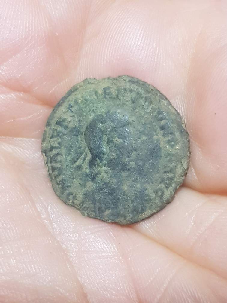 Bronze-I-Can-Read-Reparatio