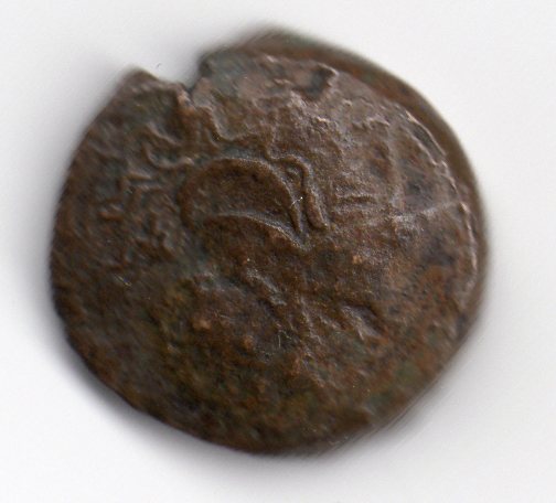 Unidentified-Ancient-Coin