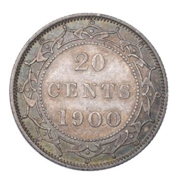 Group-Pick-Up-Today-With-Stunning-NFLD-1900-20c