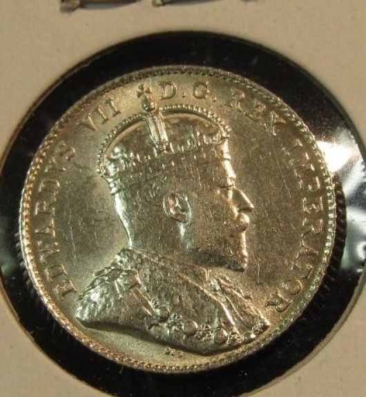 Tonights-Pick-Up:-Can-1909-Broad-Leaves-10c