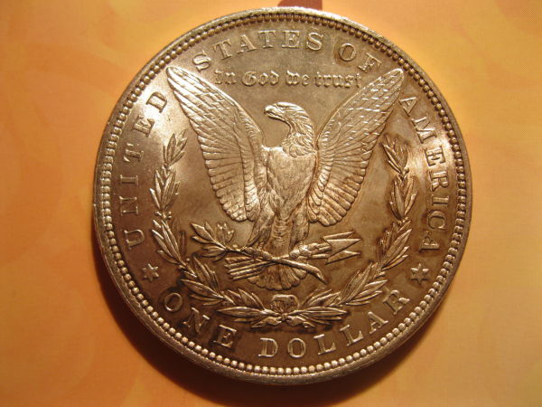 1896-Morgan-Dollar......anything-Leap-Out?