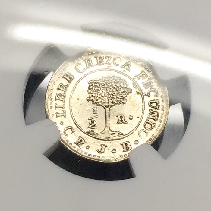 Pretty-Sapling-For-Any-Central-American-Collection