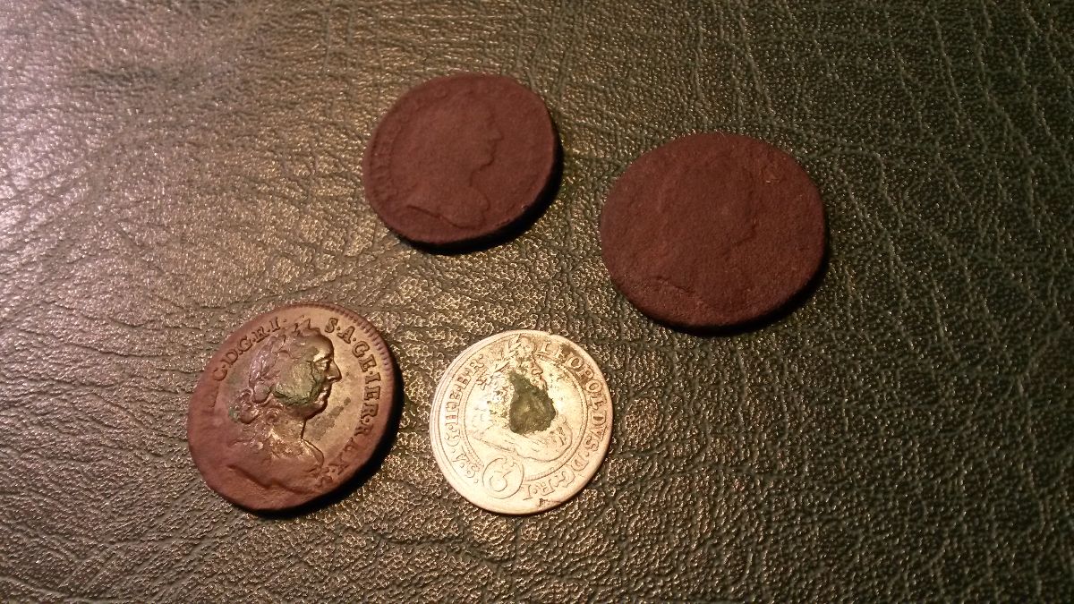 Old-Coins-Found-In-Forrest