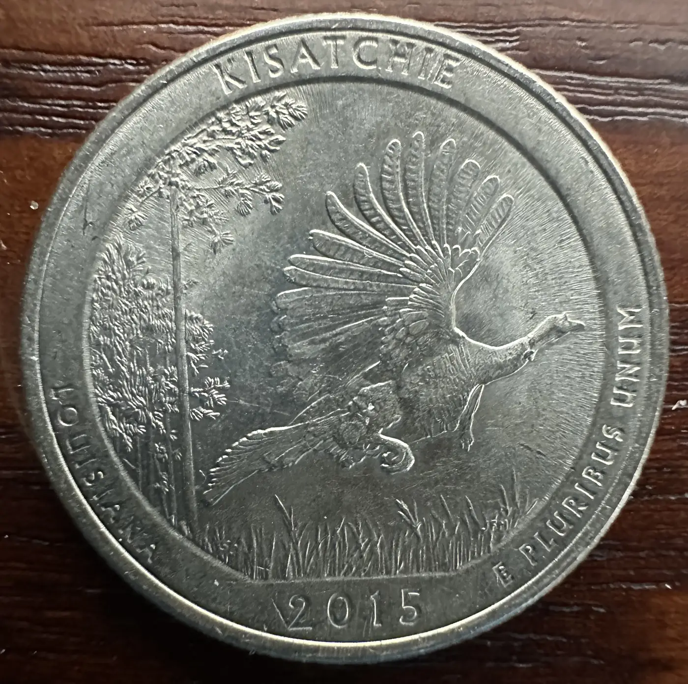 2015-P-US-Quarter-Louisiana-DD-Or-Worn-Die-Possibly?
