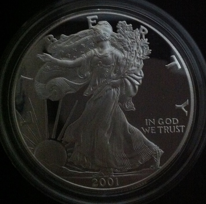 2001-Silver-Eagle