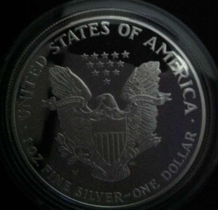 2001-Silver-Eagle