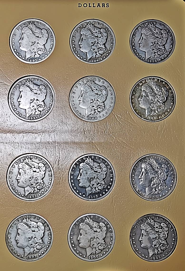 Be-Free!-The-Last-2-Pieces-Cracked-Out-To-Fill-A-Dansco-Blank-Silver-Dollar-Album!