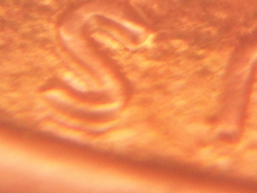 1994-Double-Die-And-Machine-Doubling-Can-You-Verify