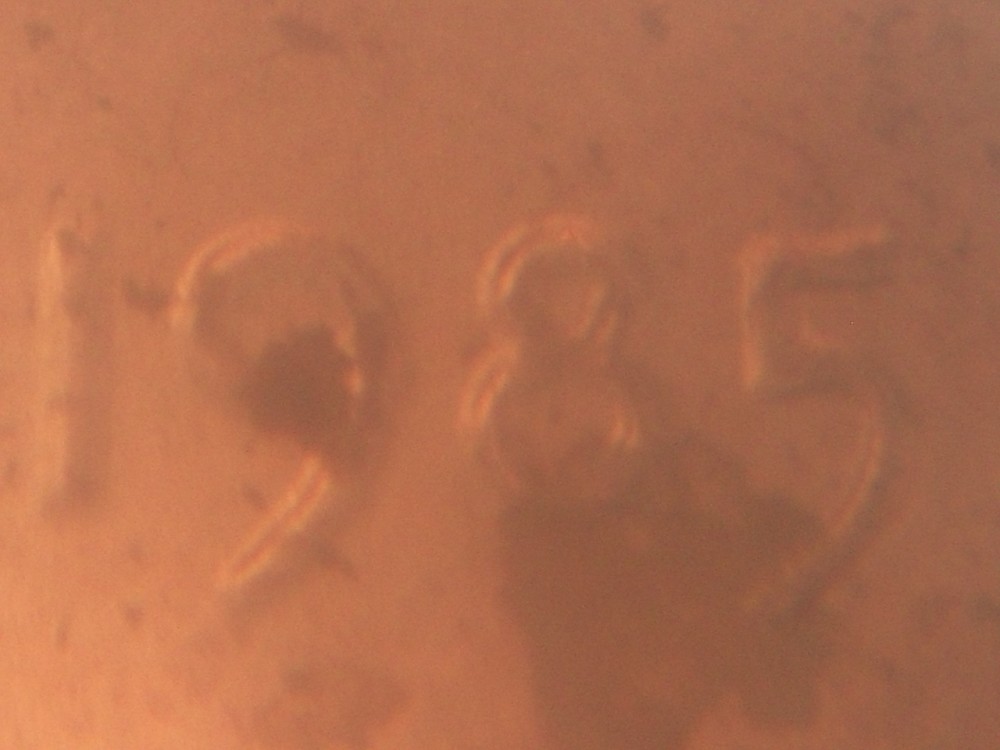 Possible-1985-Double-Die-With-MD?