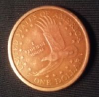 How-To-Identify-2001-Sacagawea-Anti-Tarnish-Rinse-Vs-PMD