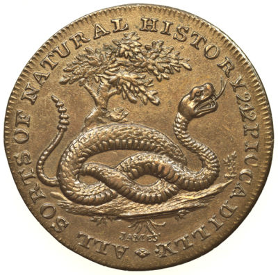 The-Conder-Token-Thread