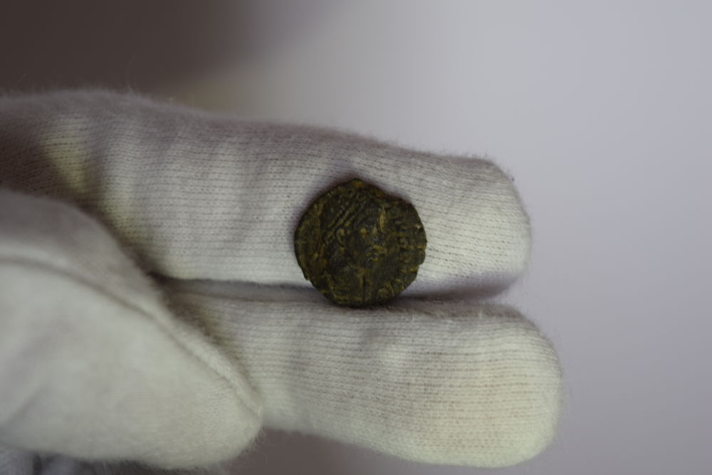 Too-Good-To-Be-True-Or-Extremly-Rare-Procopius-?