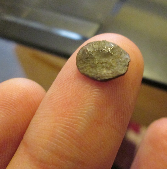 Again!!-I-See-Silver?-:-Very-Crusty?
