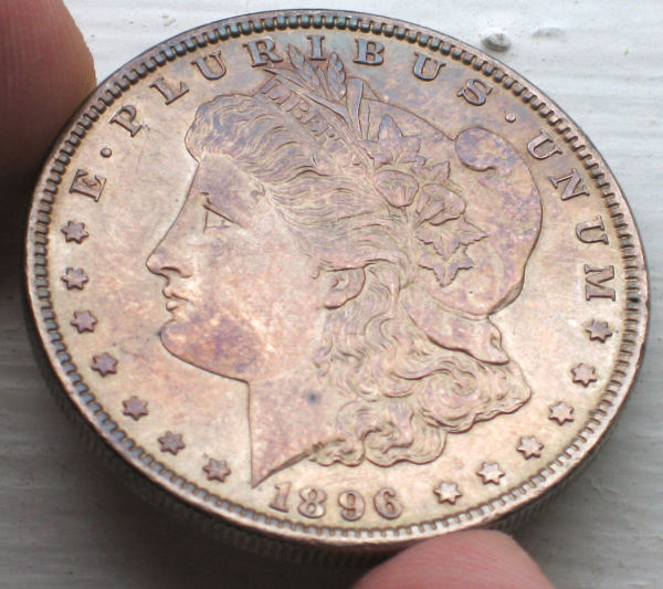 Official-Coin-Community-Toned-Classic-US-Coins