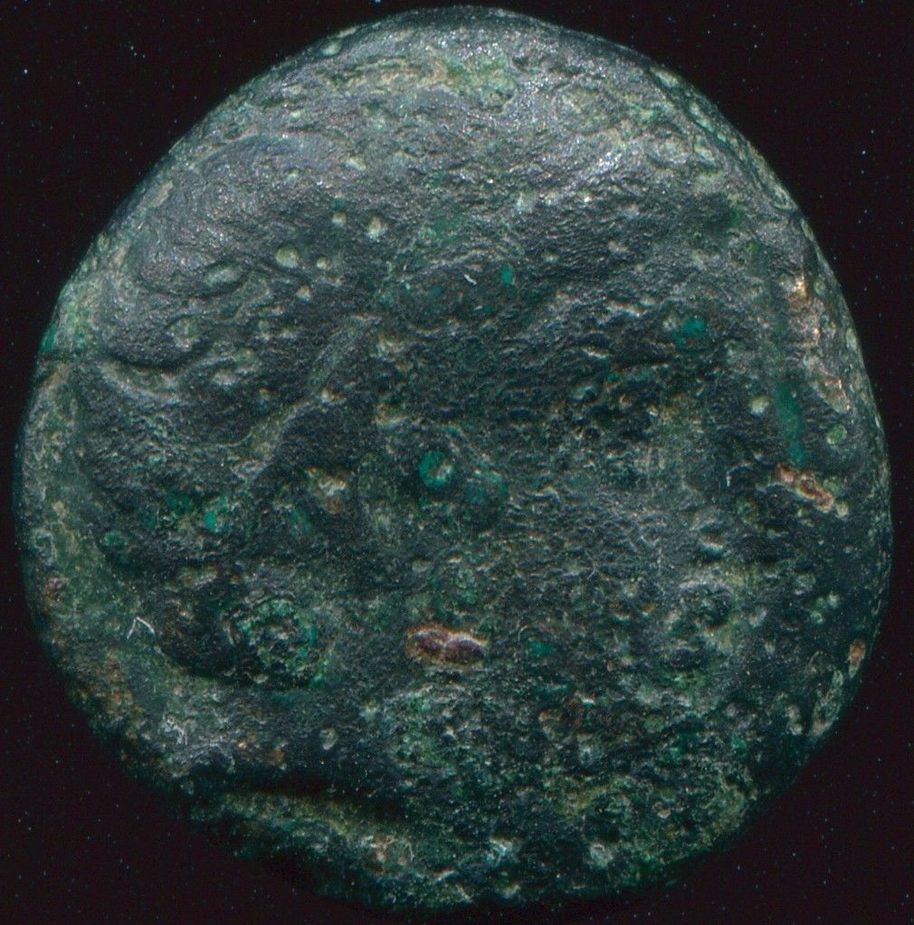 Phillip-II-Macedon-Coin-I-Just-Bought