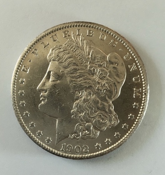 1902-S-Silver-Dollar-Grading