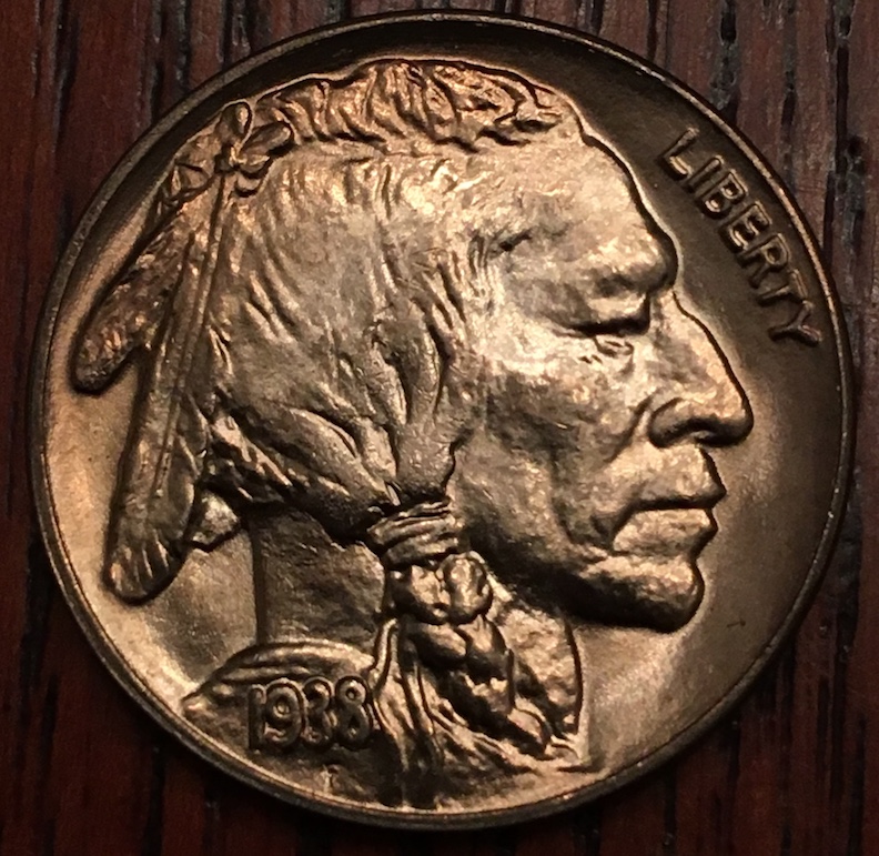 Grading-For-A-Roll-Of-1938-D-Buffalo-Nickels