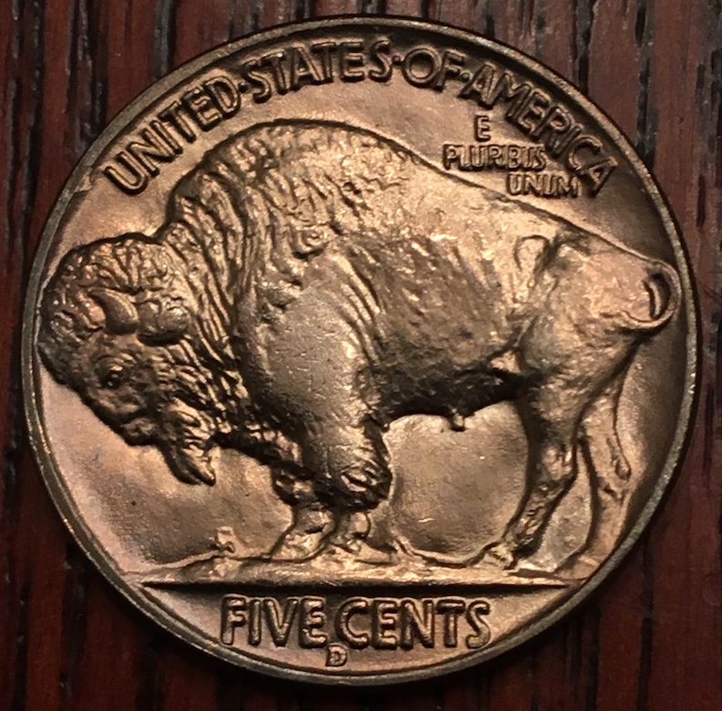 Grading-For-A-Roll-Of-1938-D-Buffalo-Nickels