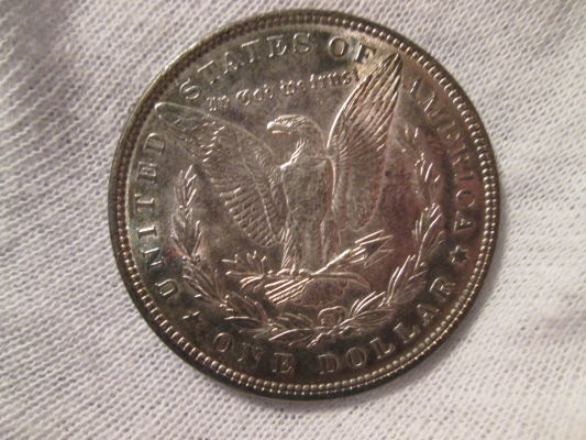 1889-Morgan-Dollar,-Grade-Please