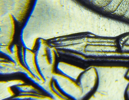 1962-Type-B-Reverse-Quarter...?