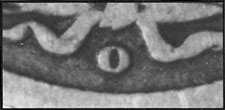 Is-This-A-1905-O-