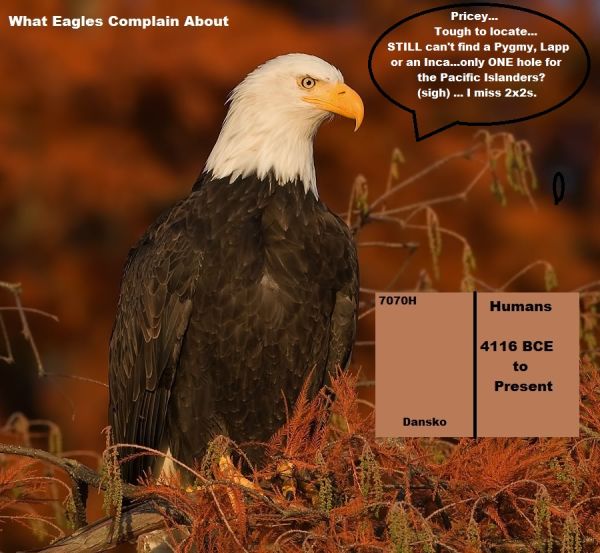 What-Eagles-Complain-About