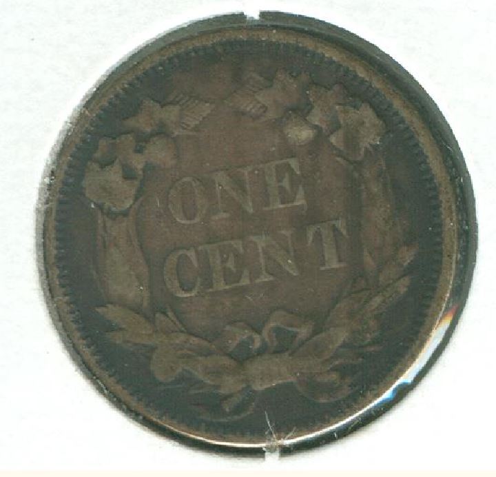 The-Incredible-100-Days-Of-19th-Century-US-Coins!