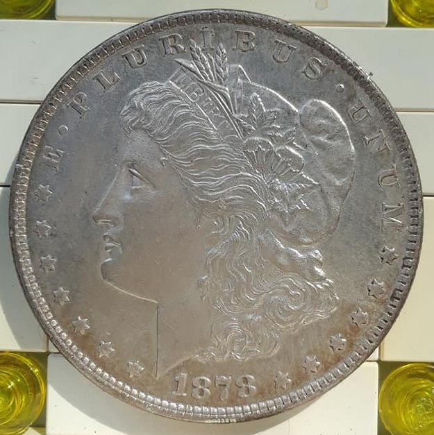 1878-8-Tail-Feathers-Dollar-For-Grading