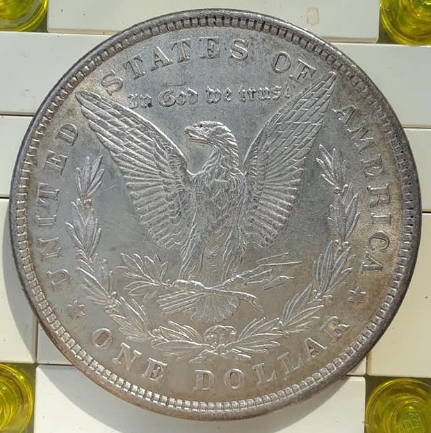 1878-8-Tail-Feathers-Dollar-For-Grading