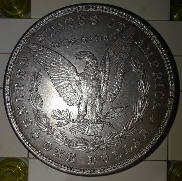 1878-8-Tail-Feathers-Dollar-For-Grading