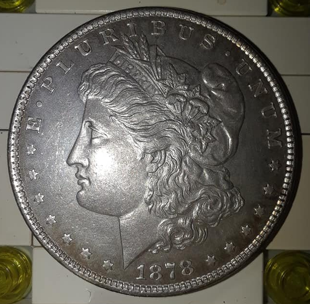 1878-8-Tail-Feathers-Dollar-For-Grading