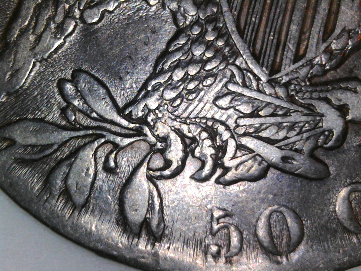 Wondering-What-Overton-Variety-This-1832-Capped-Bust-Half-Is.