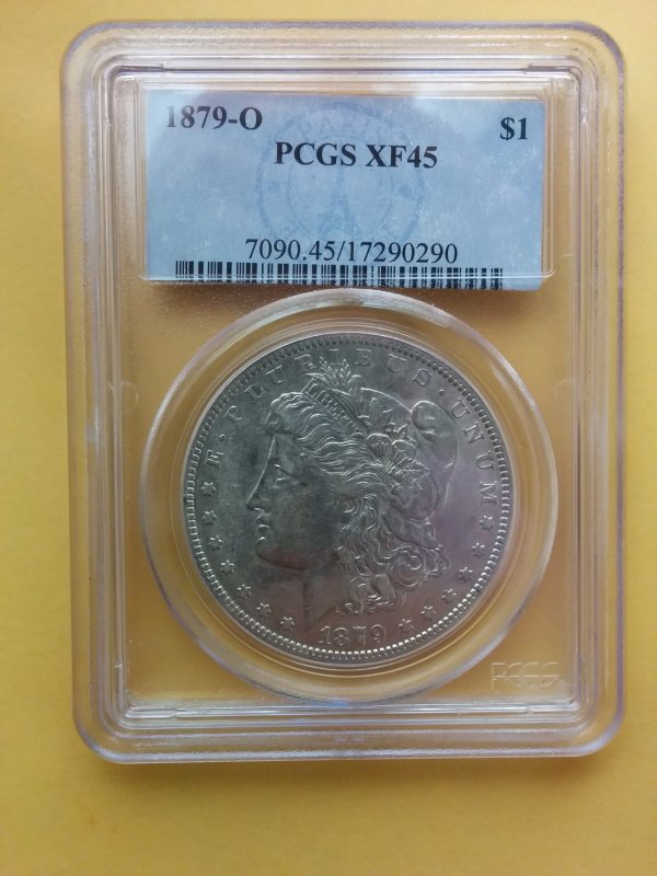 1879-0-Morgan---You-Vs.-PCGS