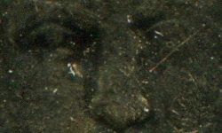 Guess-This---2