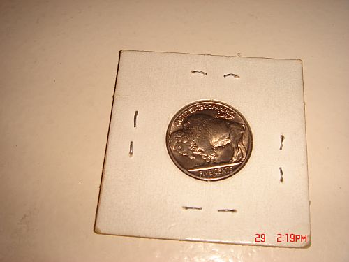 Have-A-Look-At-My-Buffalo-And-Jefferson-Nickels