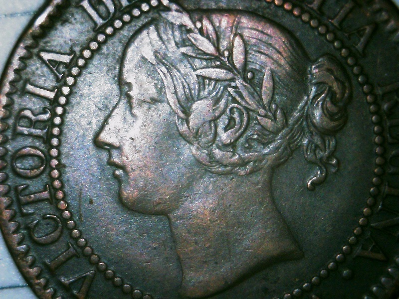 1859-Variety-Attribution-Assistance-Requested