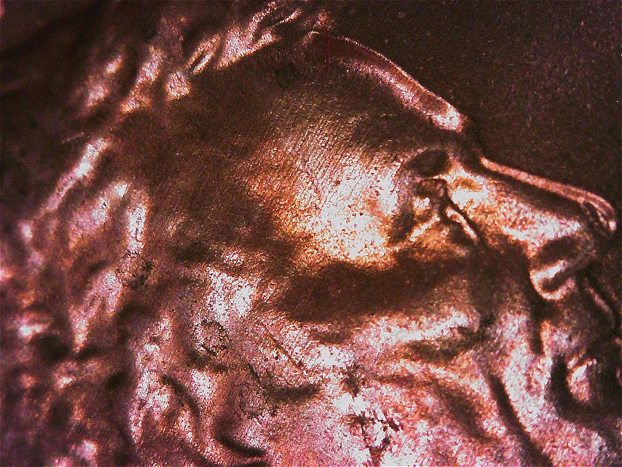 2017-P-LMC-Obv---Tear-Drop-Below-Eye-And-Double-Ear-Lobe!