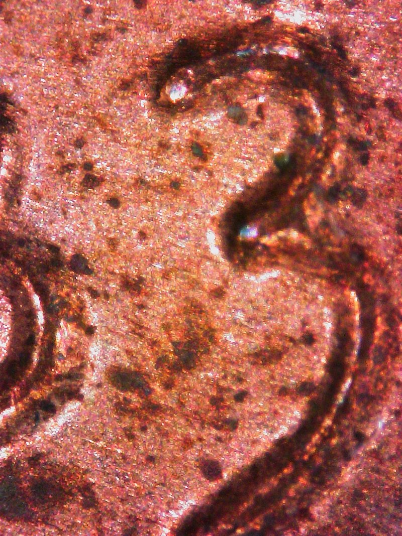 1983-D--LMC-With-Doubling-On-Date